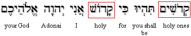 Leviticus 19:2b