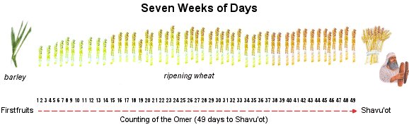 49 Days of Omer