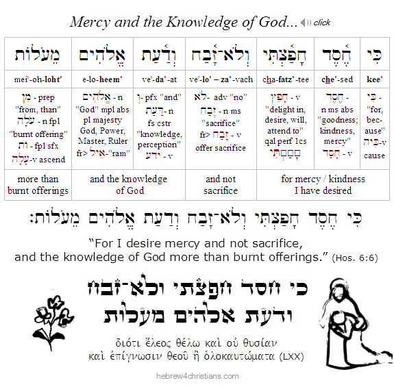 Hosea 6:6 Hebrew lesson